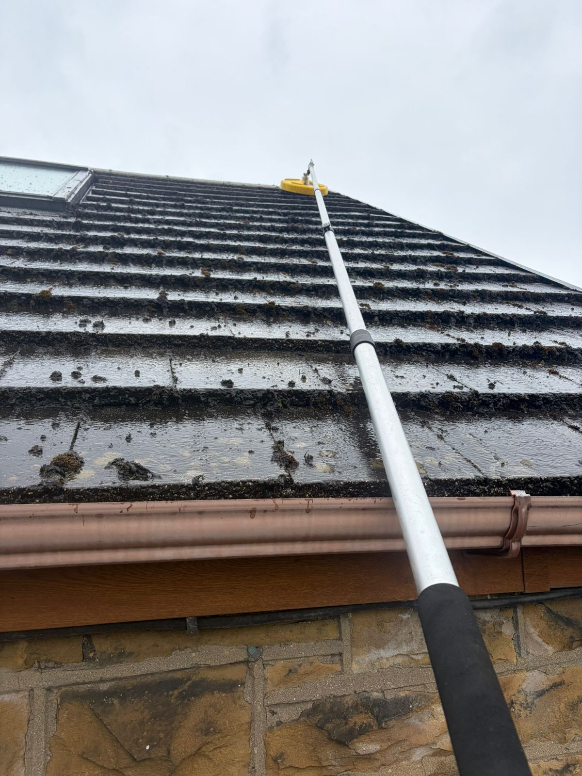 Soft wash pole removing heavy moss and dirt from a tiled roof in Swansea